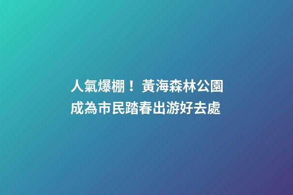 人氣爆棚！黃海森林公園成為市民踏春出游好去處